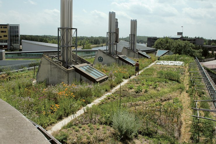 CA_Ontario_Petersborough_Trent University