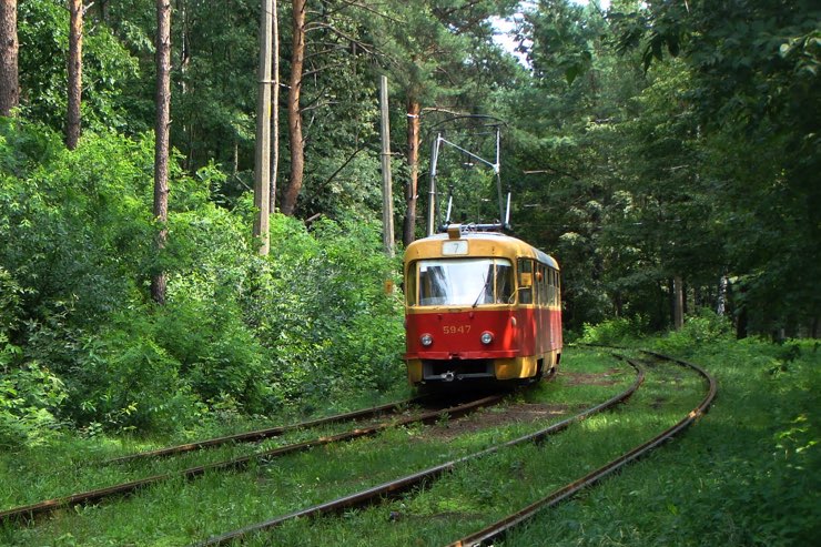 57394142