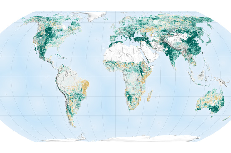 Світ став «‎зеленішим» за останні 20 років (карта)