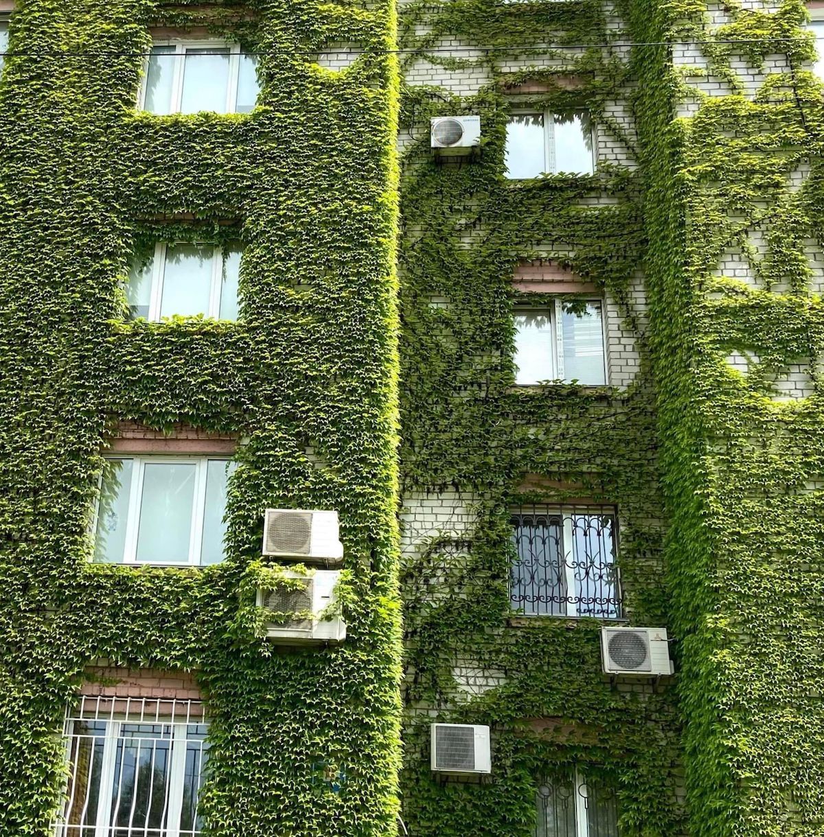 Вертикальное Озеленение в Люмион