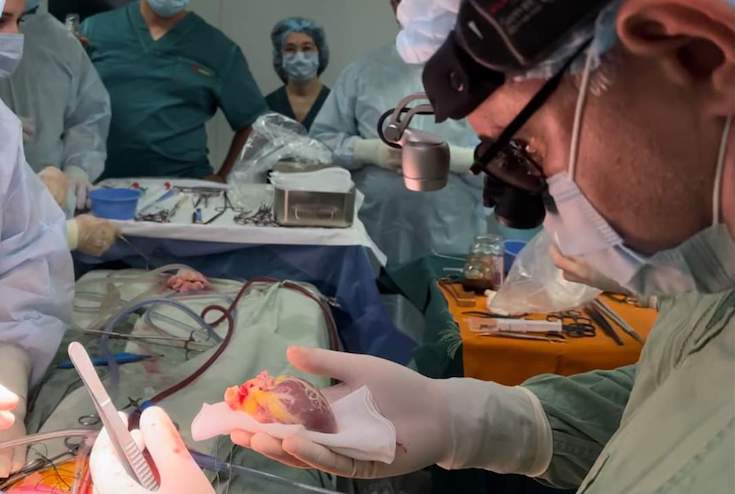 Фото: Катерина Сотнікова